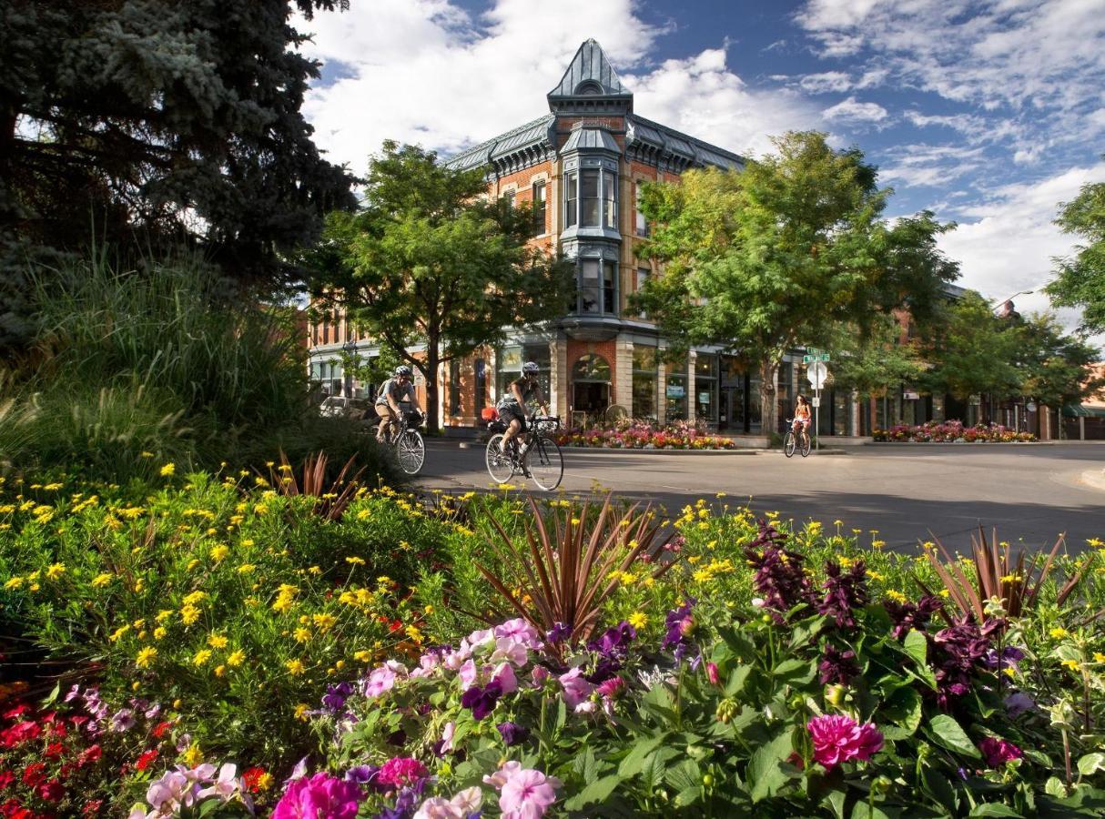 Lola House! Cozy Comfort, Prime Old Town Location Fort Collins Exterior photo